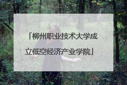 柳州职业技术大学成立低空经济产业学院
